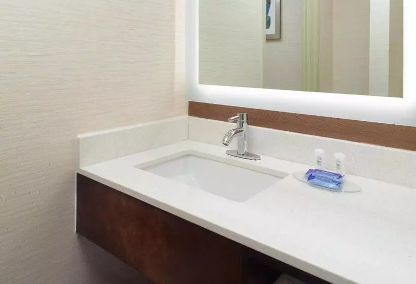 キングサイズベッドのエクゼクティブルーム, Fairfield Inn & Suites Clarksville