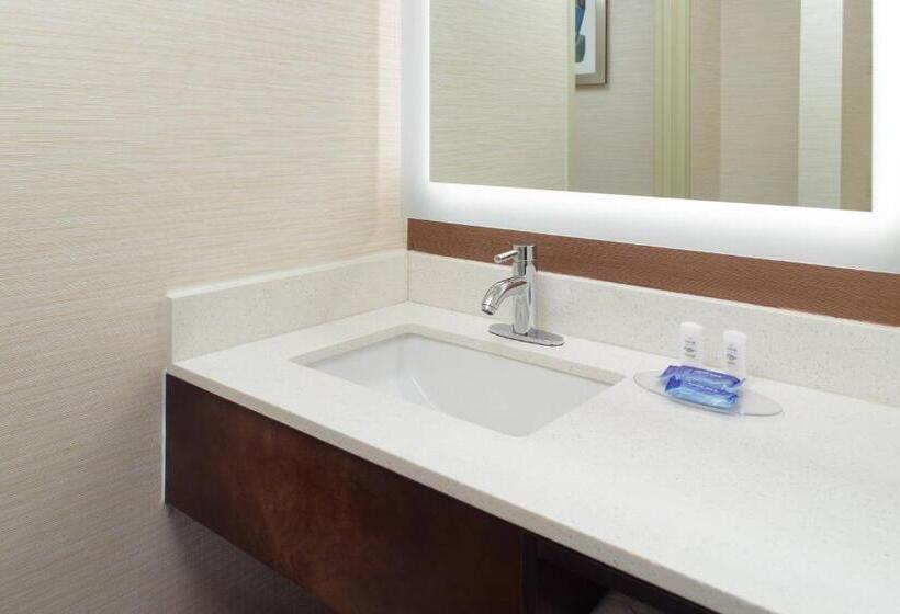 스탠다드 룸 킹사이즈 침대, Fairfield Inn & Suites Clarksville