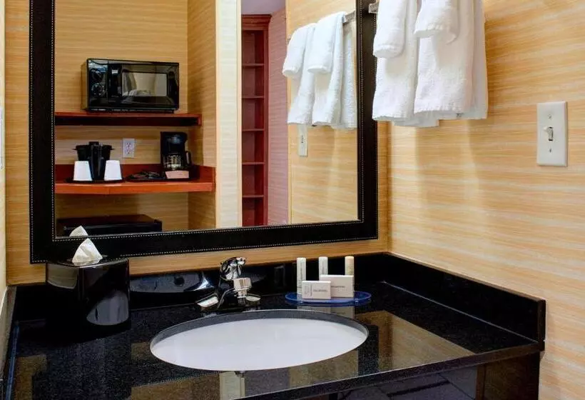 キングサイズベッドのスイートルーム, Fairfield Inn & Suites Detroit Farmington Hills