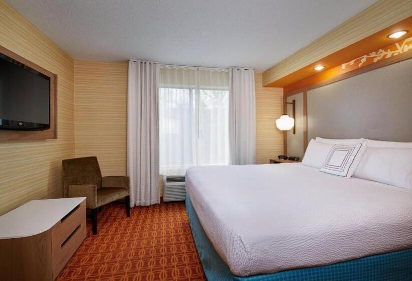 带大床的套房, Fairfield Inn & Suites Detroit Farmington Hills