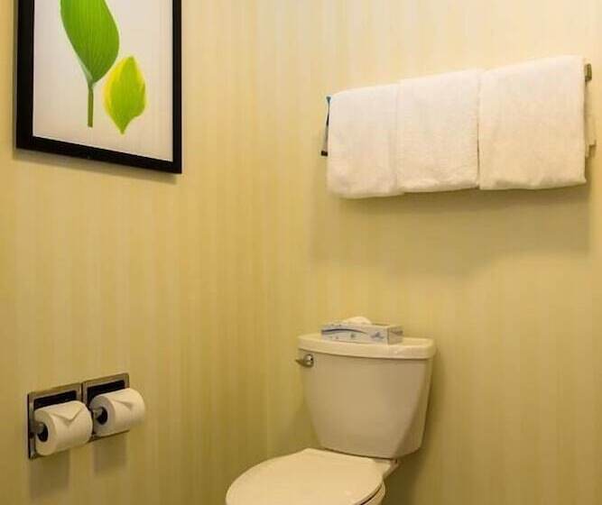 带2个双人床的标准工作室, Fairfield Inn & Suites Fredericksburg