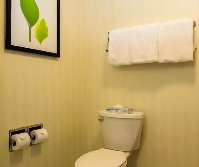２ダブルベッドのスタンダードルーム, Fairfield Inn & Suites Fredericksburg