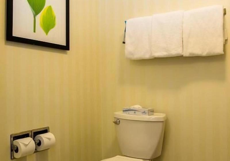 带大床的标准间, Fairfield Inn & Suites Fredericksburg