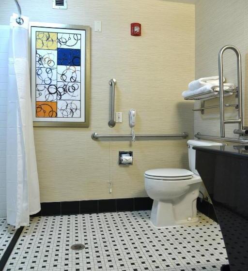 اتاق استاندارد با تخت بزرگ, Fairfield Inn Hartford Airport