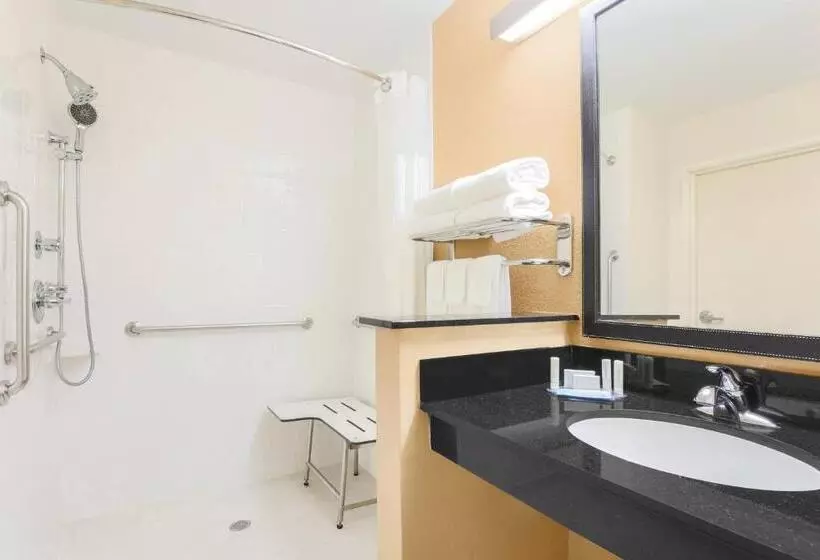 اتاق استاندارد با تخت بزرگ برای معلولان, Fairfield Inn & Suites Houston Humble