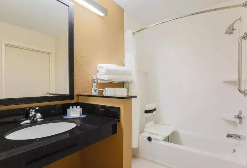 اتاق استاندارد با تخت بزرگ برای معلولان, Fairfield Inn & Suites Houston Humble