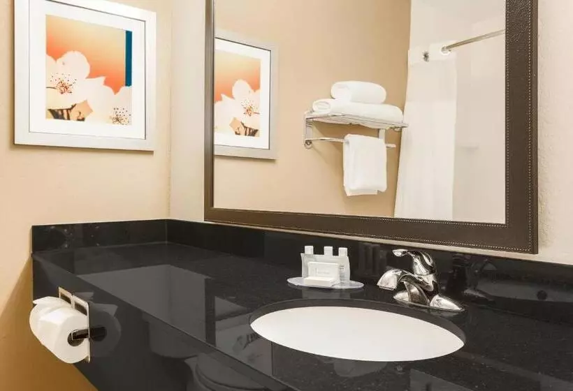اتاق استاندارد با تخت بزرگ برای معلولان, Fairfield Inn & Suites Houston Humble