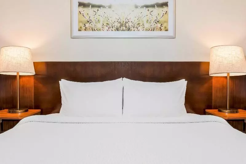 اتاق استاندارد با تخت بزرگ, Fairfield Inn & Suites Houston Westchase