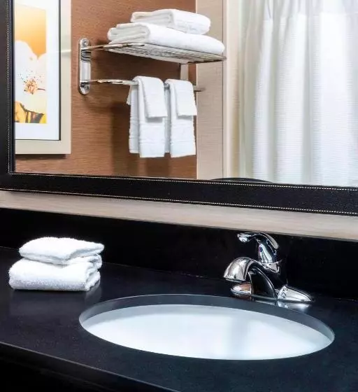 キングサイドベッドのスタンダードワンルーム, Fairfield Inn & Suites Kansas City Lee S Summit