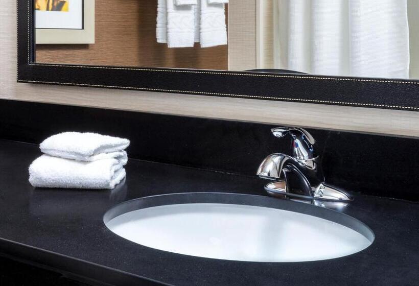 إستوديو قياسى سرير كينج, Fairfield Inn & Suites Kansas City Lee S Summit