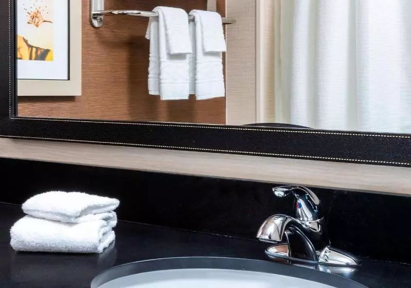 キングサイズベッドのスタンダードルーム, Fairfield Inn & Suites Kansas City Lee S Summit
