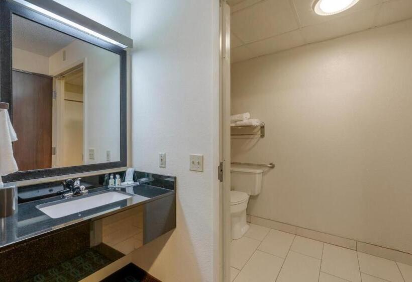 身障者適用キングサイズベッドルーム, Quality Inn & Suites Sandusky