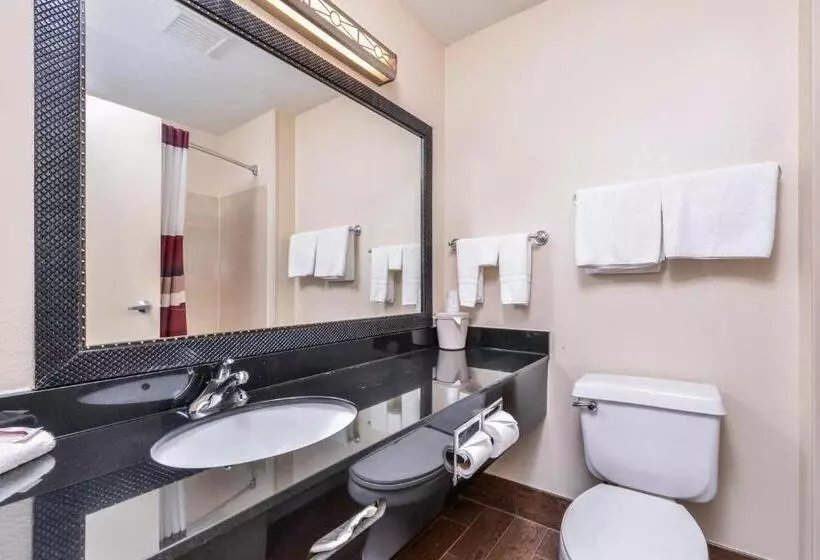 キングサイズベッドのスイートルーム, Red Roof Inn & Suites Danville, Il