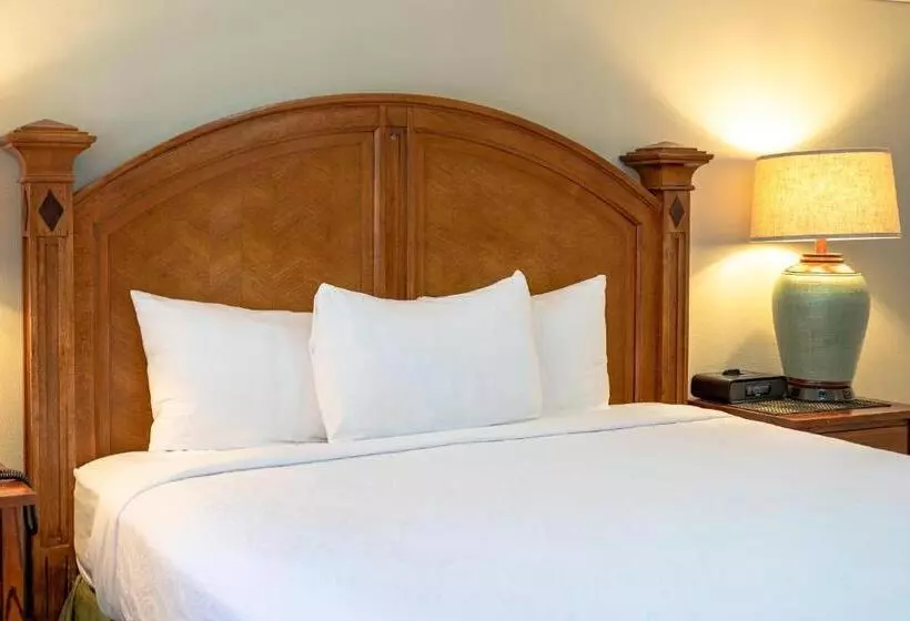 اتاق لوکس با تخت بزرگ, The Inn On Pine