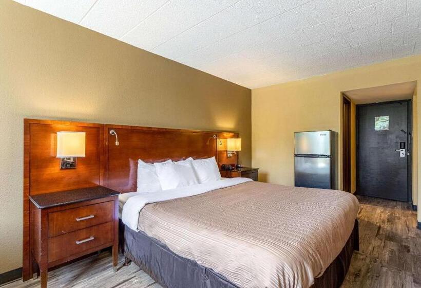 חדר סטנדרט עם מיטת קינג, Suburban Studios