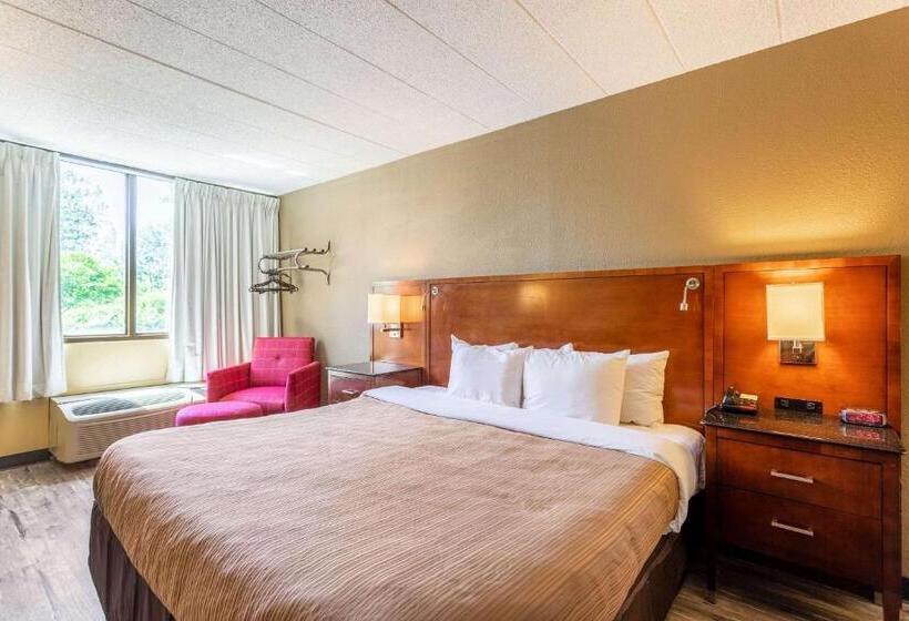 חדר סטנדרט עם מיטת קינג, Suburban Studios