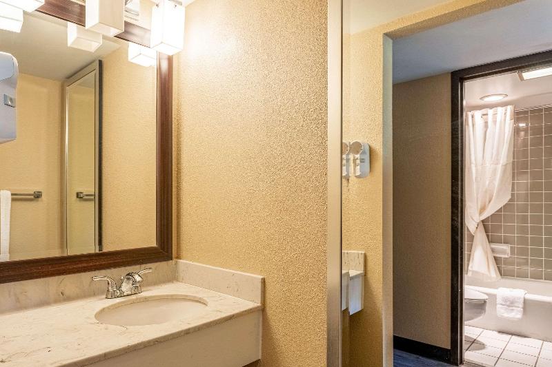 חדר סטנדרט עם מיטת קינג, Suburban Studios