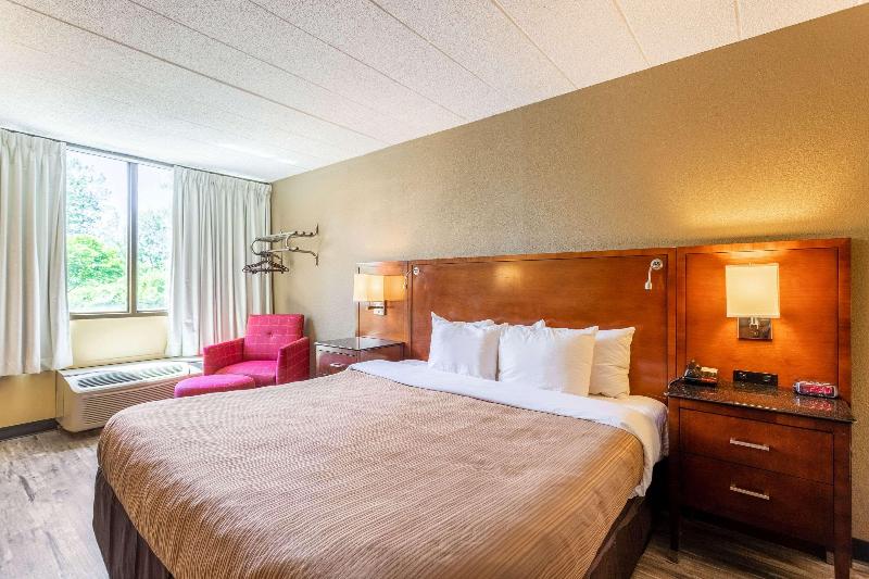 חדר סטנדרט עם מיטת קינג, Suburban Studios