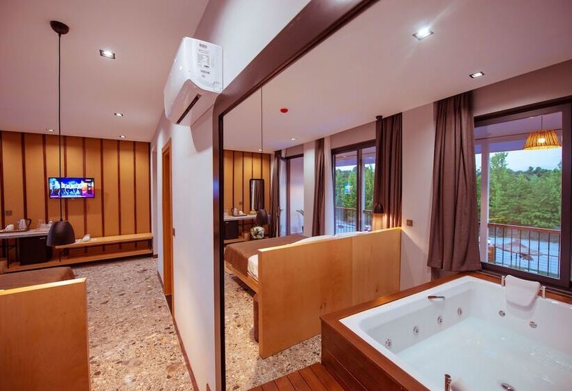 带泳池观景的豪华房, Arwen