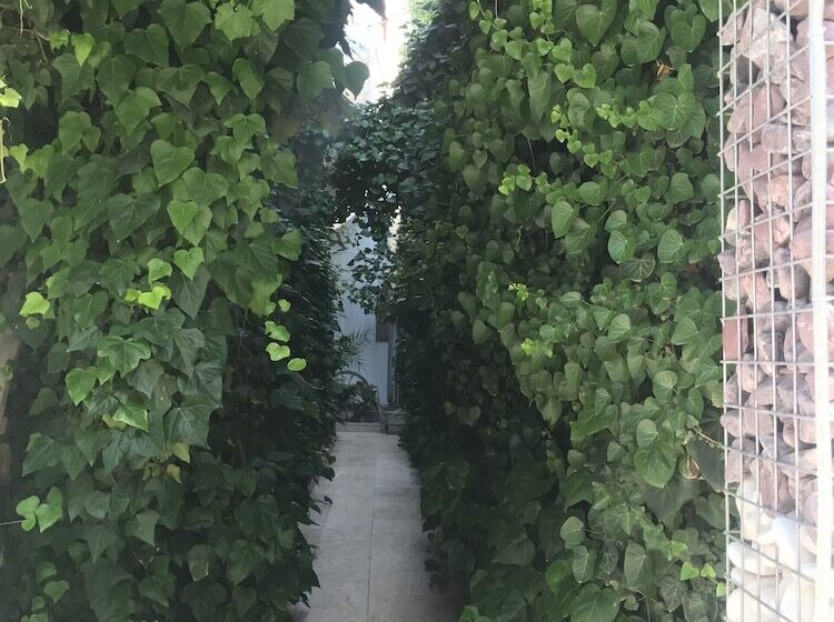 اتاق استاندارد با بالکن, Ozenturku