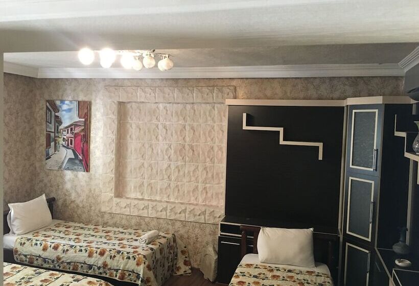 اتاق استاندارد سه نفره, Ozenturku