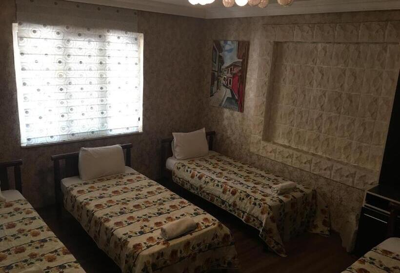 اتاق استاندارد سه نفره, Ozenturku