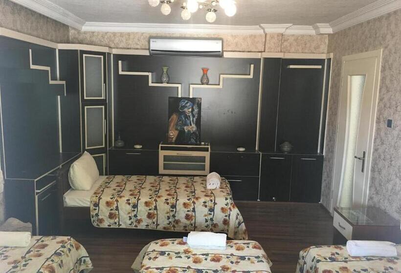 اتاق استاندارد سه نفره, Ozenturku