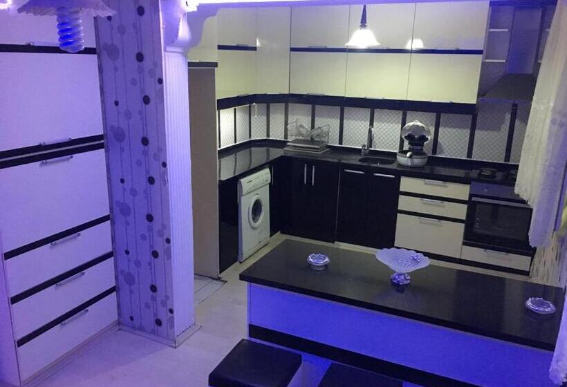 آپارتمان لوکس 1 خوابه, Ozenturku