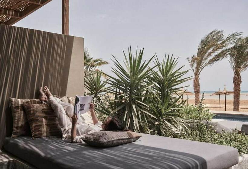 اتاق پرمیوم, Casa Cook El Gouna  Adults Only