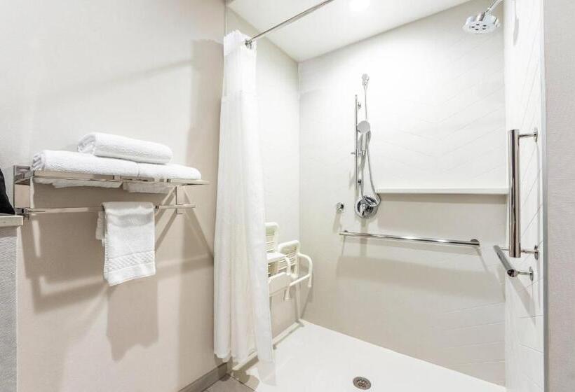 Standard-studio King-vuode, Fairfield Inn & Suites By Marriott Dallas Plano/frisco