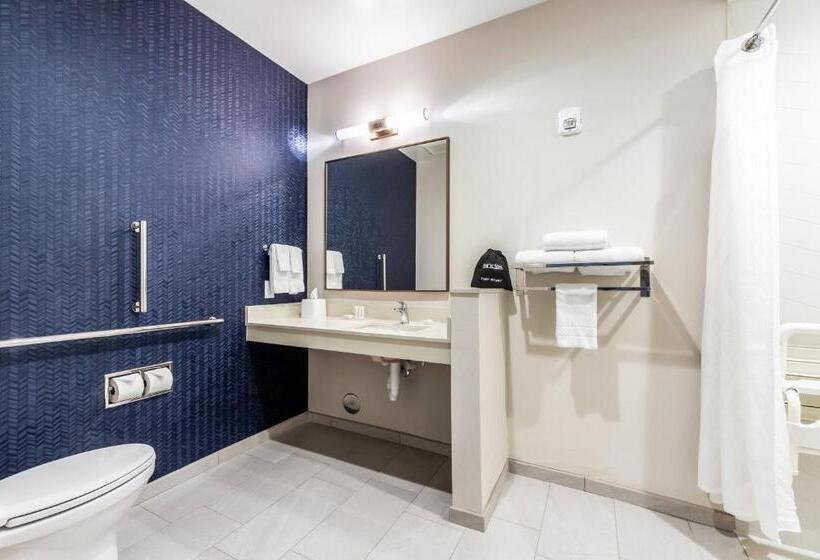 Standard-studio King-vuode, Fairfield Inn & Suites By Marriott Dallas Plano/frisco