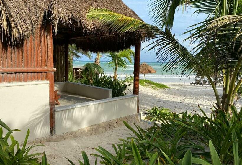 Standard-bungalow, Bt Live Tulum Located At The Party Zone
