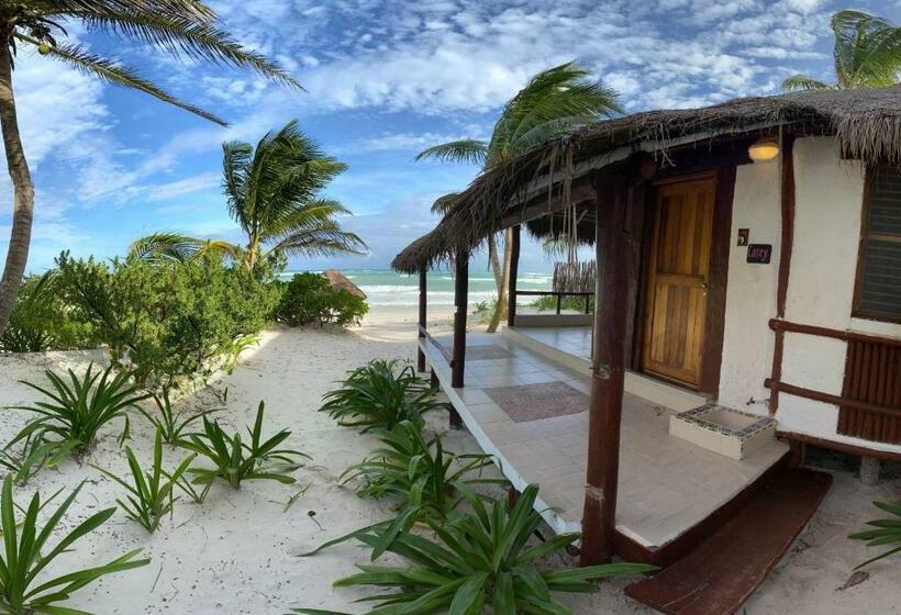 Standard-bungalow, Bt Live Tulum Located At The Party Zone