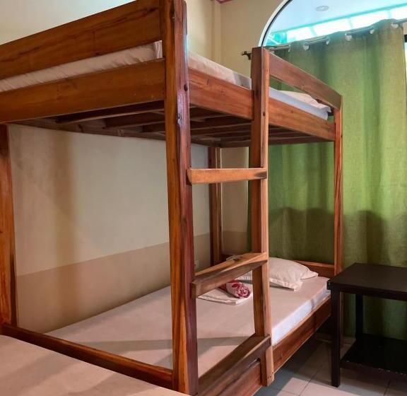 اتاق استاندارد چهار تخته, Austrias Guest House