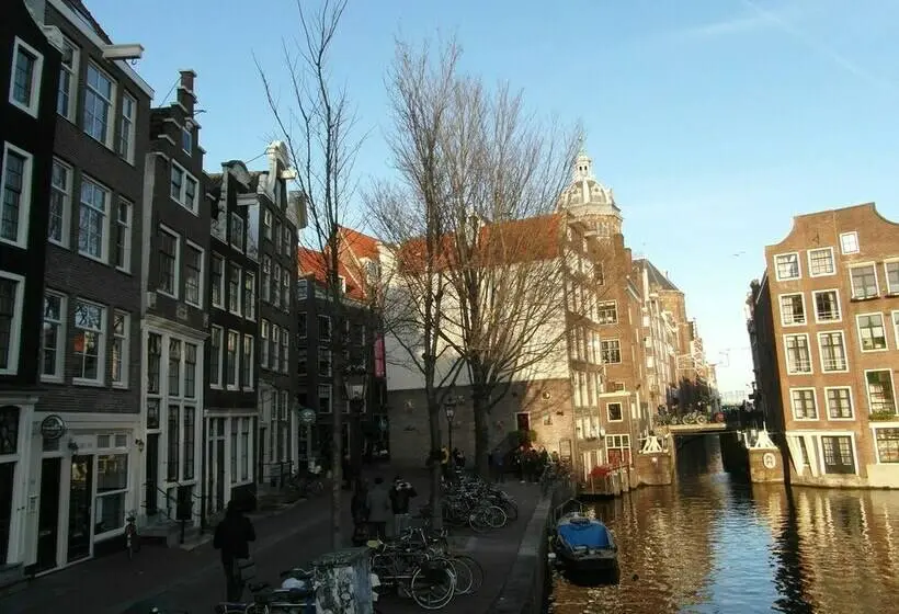 Comfort-huone, Velvetamsterdam