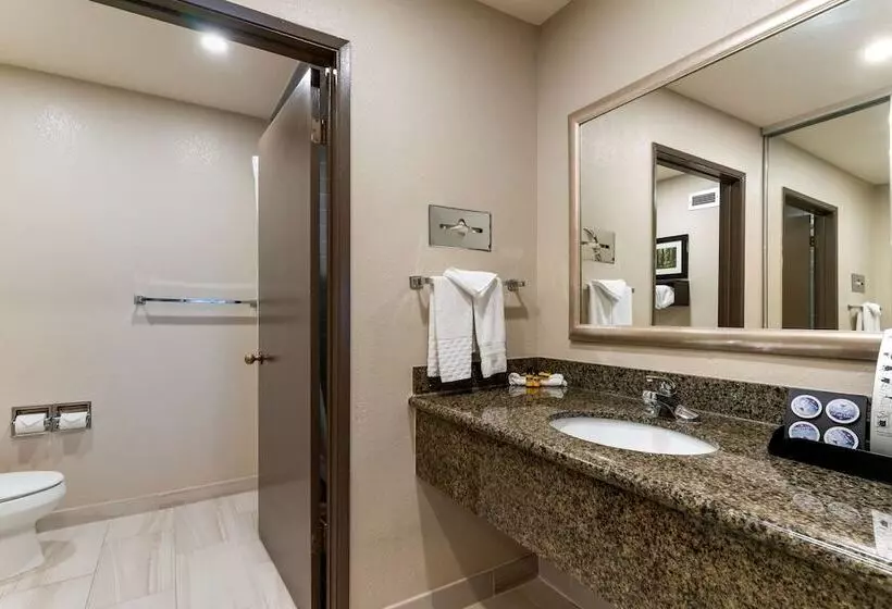اتاق استاندارد با 2 تخت دوبل, Best Western Plus Forest Park Inn