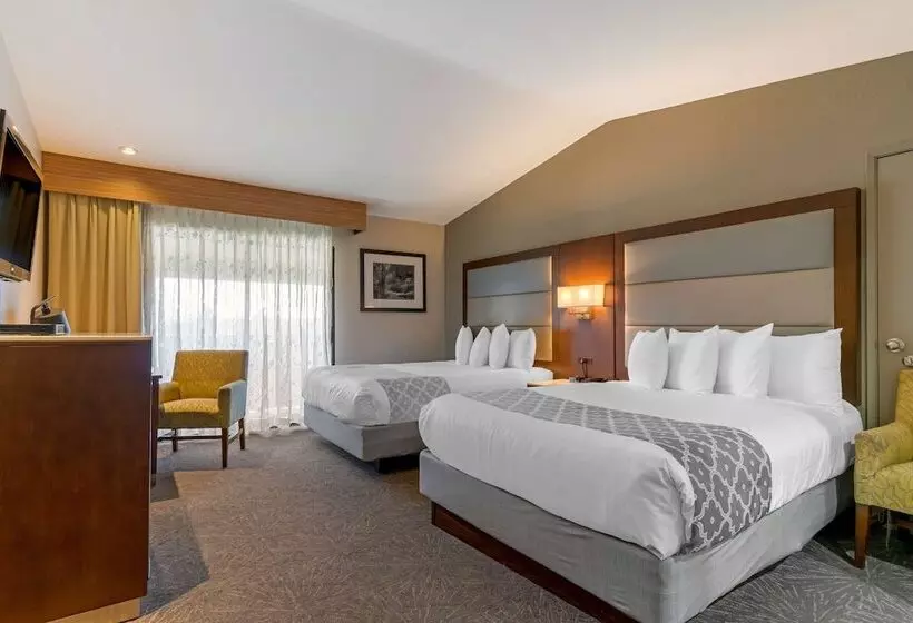 اتاق استاندارد با 2 تخت دوبل, Best Western Plus Forest Park Inn