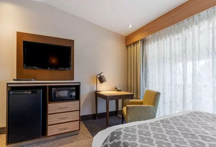 اتاق استاندارد با 2 تخت دوبل, Best Western Plus Forest Park Inn