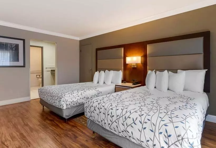 اتاق استاندارد با 2 تخت دوبل, Best Western Plus Forest Park Inn