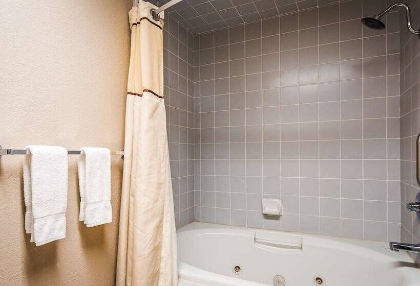 Номер Стандарт 2 Двуспальные Кровати, Best Western Plus Forest Park Inn