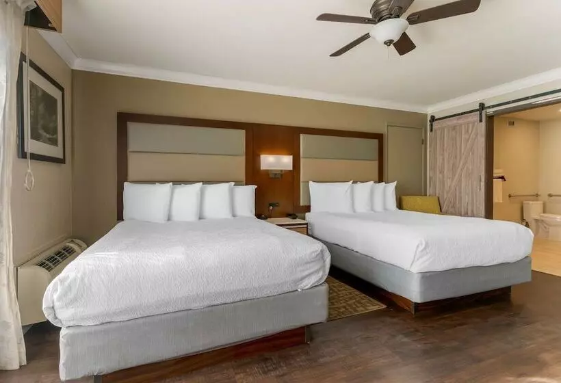 سوییت خانوادگی, Best Western Plus Forest Park Inn