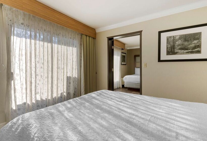 Family Suite, Best Western Plus Forest Park Inn