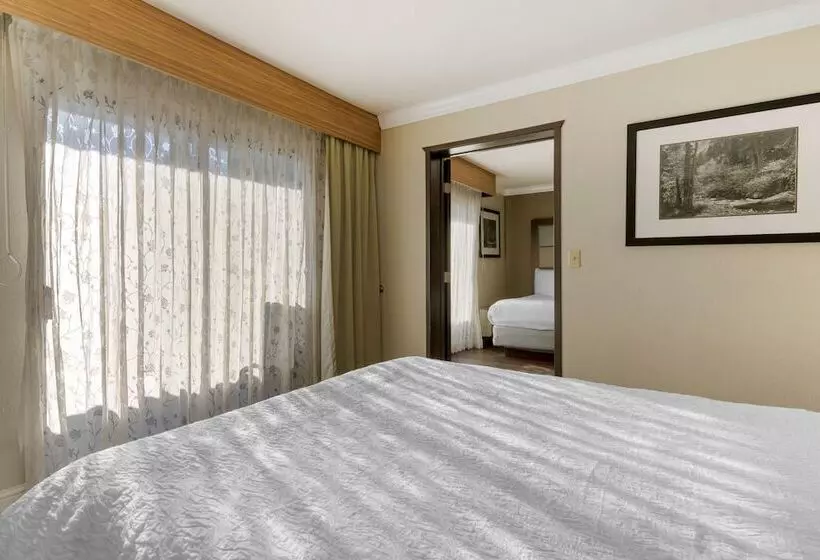 سوییت خانوادگی, Best Western Plus Forest Park Inn