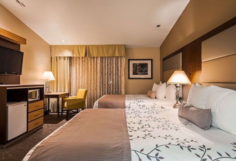 Номер Стандарт 2 Двуспальные Кровати, Best Western Plus Forest Park Inn