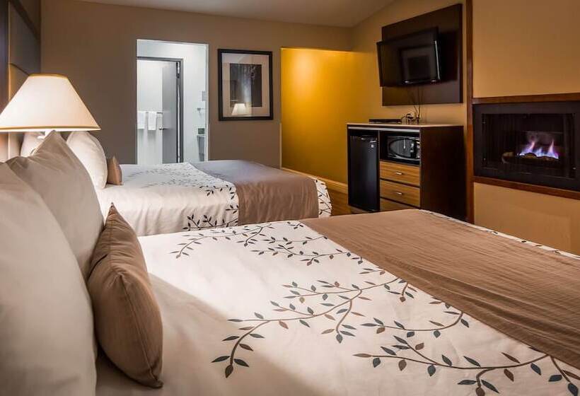 Номер Стандарт 2 Двуспальные Кровати, Best Western Plus Forest Park Inn