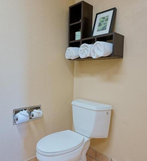 Стандартный Номер Кровать Кинг, Best Western Plus Forest Park Inn