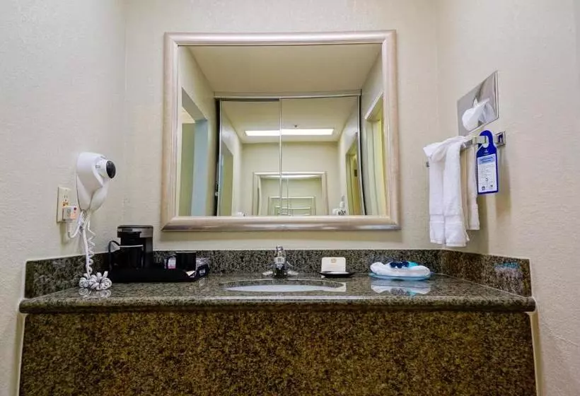 اتاق استاندارد با تخت بزرگ, Best Western Plus Forest Park Inn
