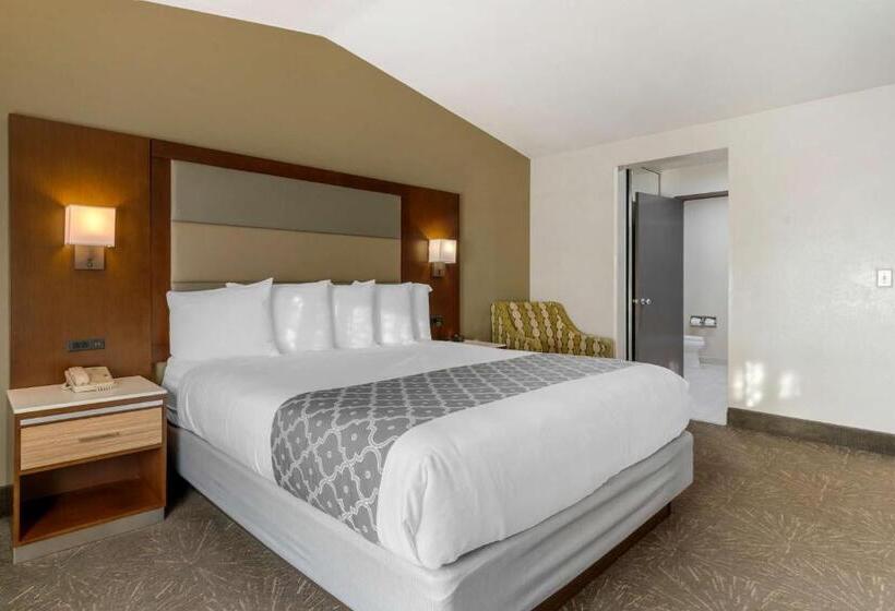 Стандартный Номер Кровать Кинг, Best Western Plus Forest Park Inn