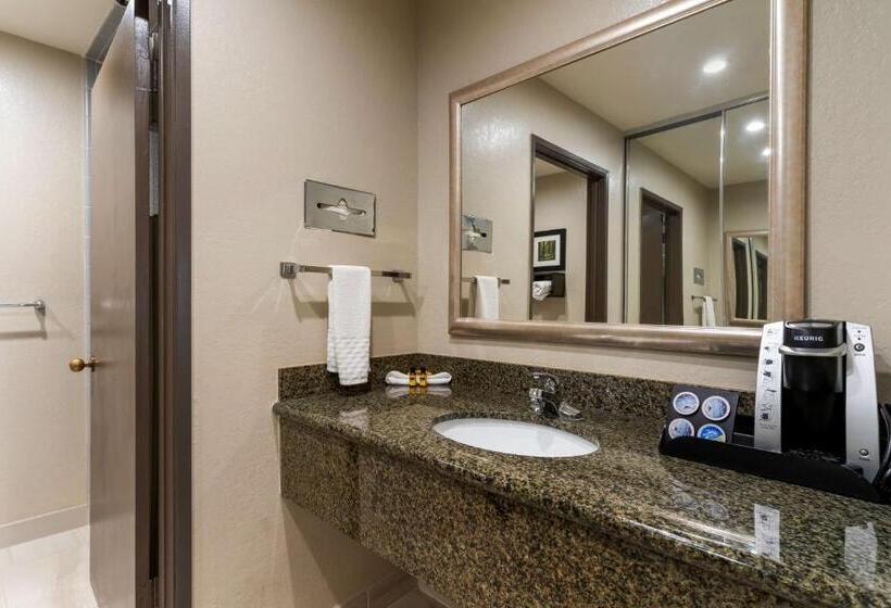 Стандартный Номер Кровать Кинг, Best Western Plus Forest Park Inn