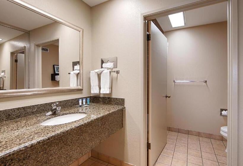 Номер Стандарт 2 Двуспальные Кровати, Best Western Plus Forest Park Inn